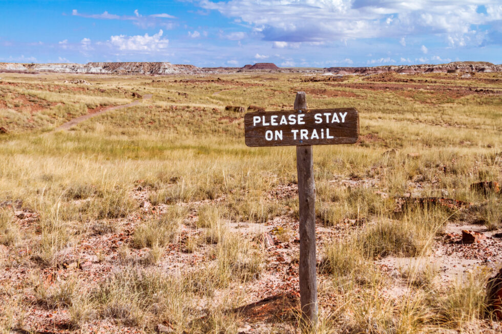 AdobeStock 181029169 scaled 980x653 1